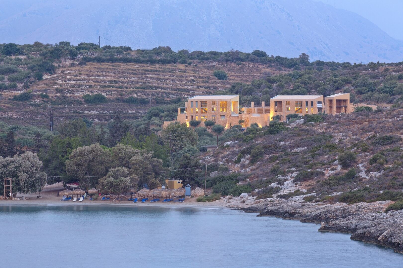 Crete – Olive Tree