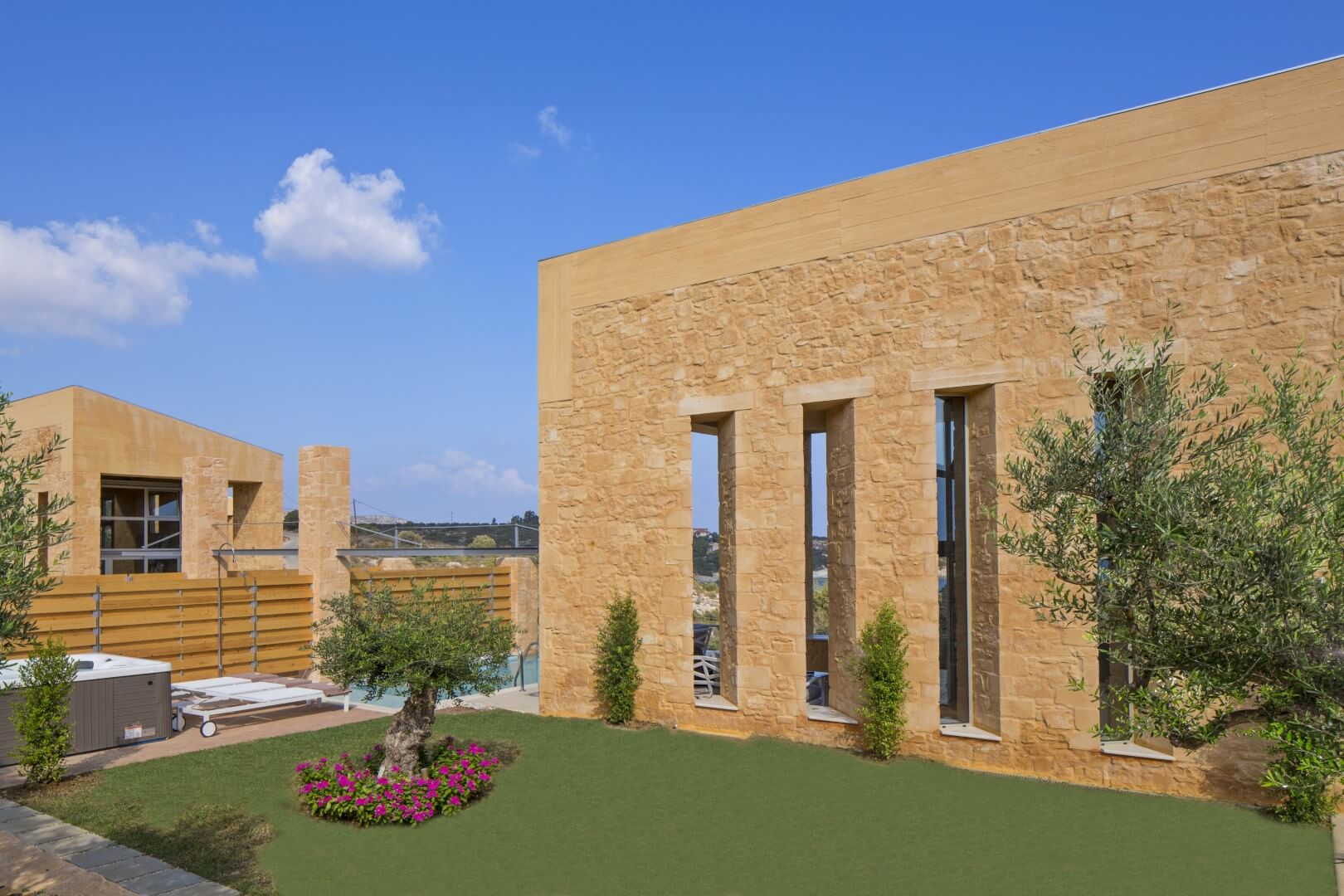 Crete – Olive Tree