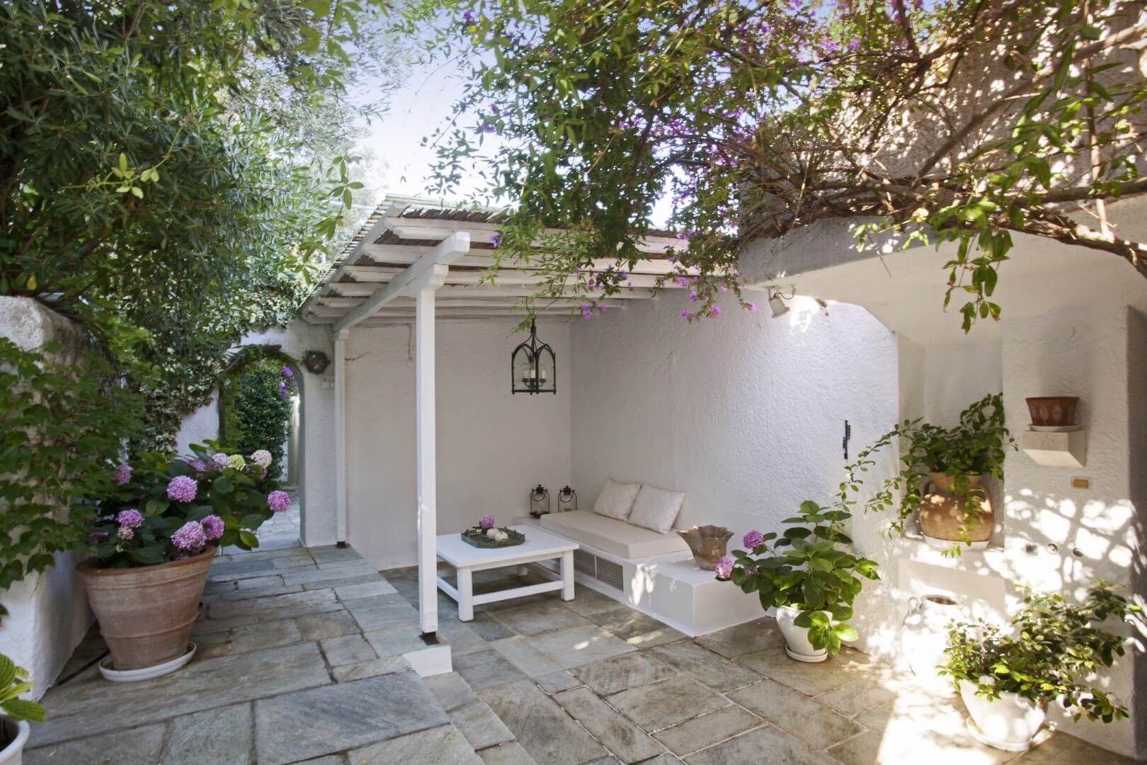 Oasis