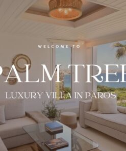 Palm Tree