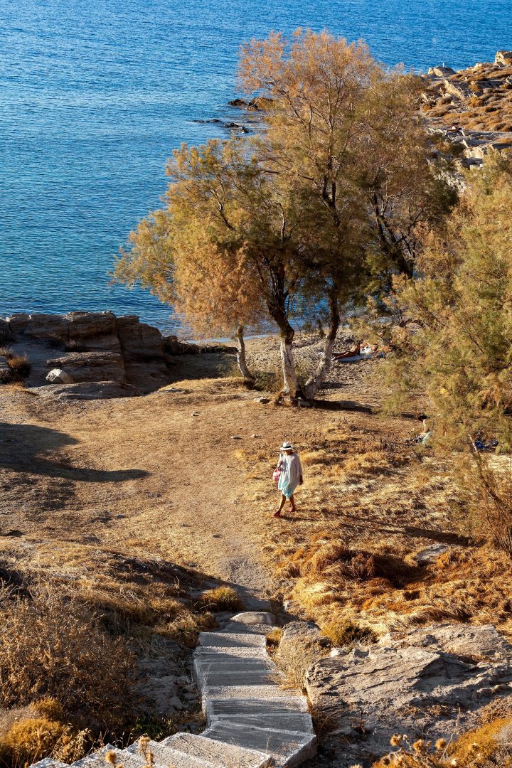 Naousa